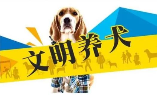 2023年3月1日起施行！《黃石市養(yǎng)犬管理?xiàng)l例》來(lái)了