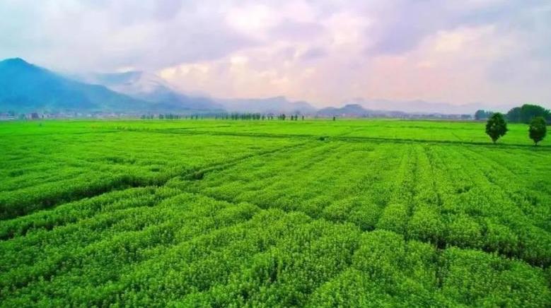 祝賀！蘄春縣生物多樣性保護(hù)成功入選全國優(yōu)秀案例